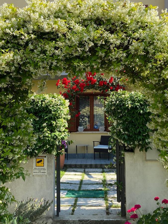 Villa Dei Cedri Scalea Luaran gambar