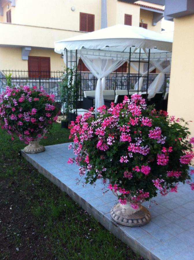 Villa Dei Cedri Scalea Luaran gambar