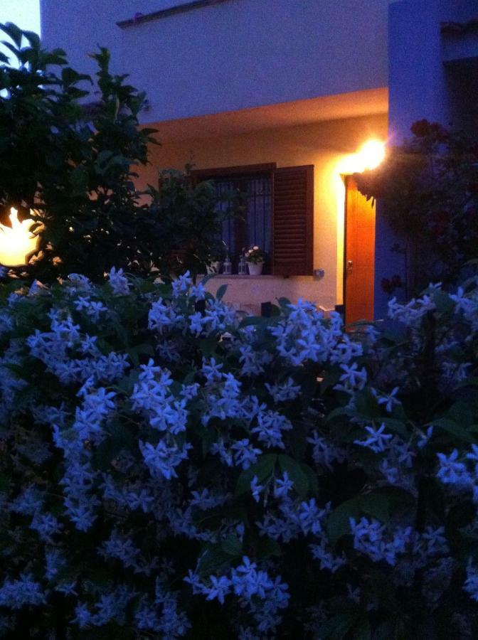 Villa Dei Cedri Scalea Luaran gambar